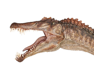PAPO Exclusive Limited Edition Spinosaurus Aegyptiacus