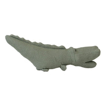 Load image into Gallery viewer, Egmont Toys Croc