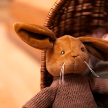 Load image into Gallery viewer, Egmont Toys Lenny Rabbit