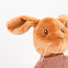 Load image into Gallery viewer, Egmont Toys Lenny Rabbit