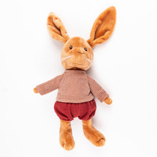 Load image into Gallery viewer, Egmont Toys Lenny Rabbit