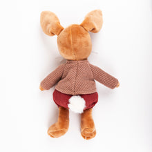 Load image into Gallery viewer, Egmont Toys Lenny Rabbit