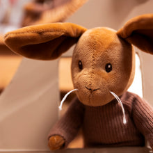 Load image into Gallery viewer, Egmont Toys Lenny Rabbit