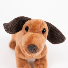 Load image into Gallery viewer, Egmont Toys Plush Edward Stuffed Dog