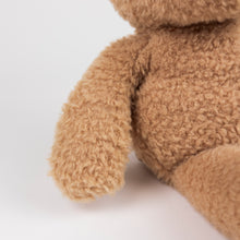 Load image into Gallery viewer, Egmont Toys Plush Morris the Bear
