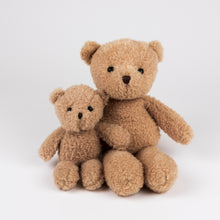 Load image into Gallery viewer, Egmont Toys Plush Morris the Bear