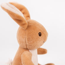 Load image into Gallery viewer, Egmont Toys Plush Bianca