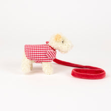 Load image into Gallery viewer, Egmont Toys Plush Eliot with Leash and Coat