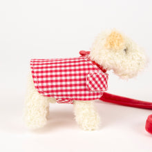 Load image into Gallery viewer, Egmont Toys Plush Eliot with Leash and Coat