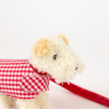 Load image into Gallery viewer, Egmont Toys Plush Eliot with Leash and Coat