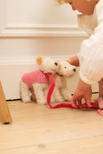 Load image into Gallery viewer, Egmont Toys Plush Eliot with Leash and Coat