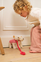Load image into Gallery viewer, Egmont Toys Plush Eliot with Leash and Coat