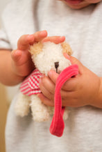 Load image into Gallery viewer, Egmont Toys Plush Mini Eliot with Leash and Coat
