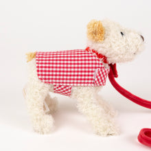 Load image into Gallery viewer, Egmont Toys Plush Mini Eliot with Leash and Coat