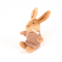 Load image into Gallery viewer, Egmont Toys Plush Lenny the Rabbit Miniature