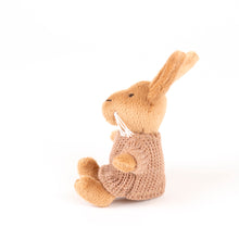 Load image into Gallery viewer, Egmont Toys Plush Lenny the Rabbit Miniature