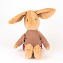Load image into Gallery viewer, Egmont Toys Plush Lenny the Rabbit