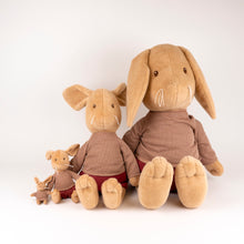 Load image into Gallery viewer, Egmont Toys Plush Lenny the Rabbit