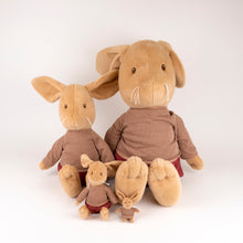 Load image into Gallery viewer, Egmont Toys Plush Lenny the Rabbit