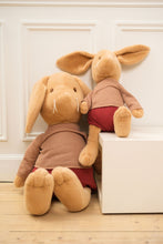 Load image into Gallery viewer, Egmont Toys Plush Lenny the Rabbit