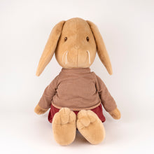 Load image into Gallery viewer, Egmont Toys Plush Lenny the Rabbit