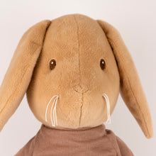 Load image into Gallery viewer, Egmont Toys Plush Lenny the Rabbit