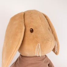 Load image into Gallery viewer, Egmont Toys Plush Lenny the Rabbit