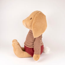 Load image into Gallery viewer, Egmont Toys Plush Lenny the Rabbit