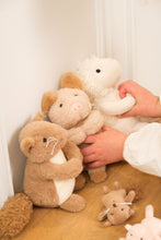 Load image into Gallery viewer, Egmont Toys Plush Squirrel with Baby