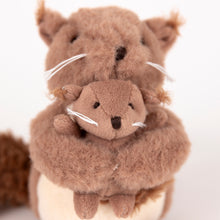 Load image into Gallery viewer, Egmont Toys Plush Squirrel with Baby