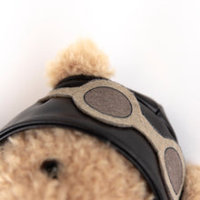 Load image into Gallery viewer, Egmont Toys Plush Pilot Bear Gift Pack