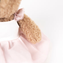Load image into Gallery viewer, Egmont Toys Plush Dancer Bear Gift Pack