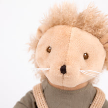 Load image into Gallery viewer, Egmont Toys Chris the Hedgehog
