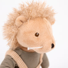 Load image into Gallery viewer, Egmont Toys Chris the Hedgehog
