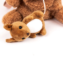 Load image into Gallery viewer, Egmont Toys Kangaroo Backpack
