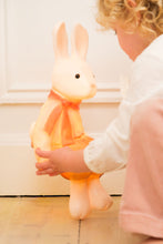 Load image into Gallery viewer, Egmont Lamp - Lenny the Rabbit w/ Plug