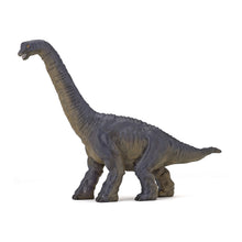 Load image into Gallery viewer, Papo France Mini Plus Dinosaurs Set 1