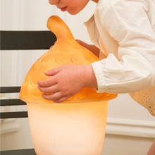 Load image into Gallery viewer, Egmont Lamp - Terra Acorn w/ Plug