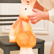 Load image into Gallery viewer, Egmont Lamp - Lenny the Rabbit w/ Plug