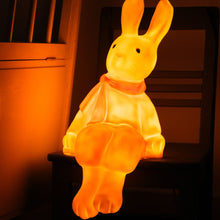 Load image into Gallery viewer, Egmont Lamp - Lenny the Rabbit w/ Plug