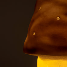 Load image into Gallery viewer, Egmont Lamp - Small Chocolate Mushroom w/ Plug