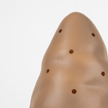 Load image into Gallery viewer, Egmont Lamp - Small Chocolate Mushroom w/ Plug