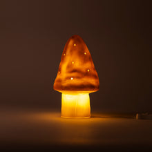 Load image into Gallery viewer, Egmont Lamp - Small Copper Mushroom w/ Plug