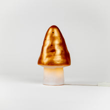 Load image into Gallery viewer, Egmont Lamp - Small Copper Mushroom w/ Plug