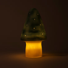 Load image into Gallery viewer, Egmont Lamp - Small Natural Teal Mushroom w/ Plug