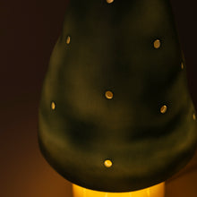 Load image into Gallery viewer, Egmont Lamp - Small Natural Teal Mushroom w/ Plug