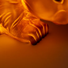 Load image into Gallery viewer, Egmont Lamp - Squirrel w/ Plug