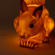 Load image into Gallery viewer, Egmont Lamp - Squirrel w/ Plug