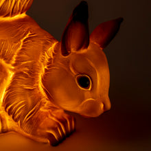 Load image into Gallery viewer, Egmont Lamp - Squirrel w/ Plug