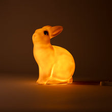 Load image into Gallery viewer, Egmont Lamp - White Rabbit w/ Plug